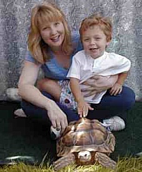 tortoise at kid's party